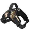 Image of Pet Walking Hand Strap Dog - Mrdogcollar