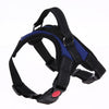 Image of Pet Walking Hand Strap Dog - Mrdogcollar