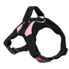 Image of Pet Walking Hand Strap Dog - Mrdogcollar