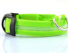 Image of Nylon LED Pet Dog Collar,Night Safety Flashing Glow In The Dark Dog Leash,Dogs Luminous Fluorescent Collars Pet Supplies - Mrdogcollar