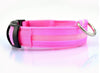 Image of Nylon LED Pet Dog Collar,Night Safety Flashing Glow In The Dark Dog Leash,Dogs Luminous Fluorescent Collars Pet Supplies - Mrdogcollar