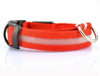Image of Nylon LED Pet Dog Collar,Night Safety Flashing Glow In The Dark Dog Leash,Dogs Luminous Fluorescent Collars Pet Supplies - Mrdogcollar