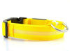 Image of Nylon LED Pet Dog Collar,Night Safety Flashing Glow In The Dark Dog Leash,Dogs Luminous Fluorescent Collars Pet Supplies - Mrdogcollar