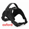 Image of Large Dog Harness Glowing Led Collar - Mrdogcollar