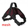 Image of Large Dog Harness Glowing Led Collar - Mrdogcollar