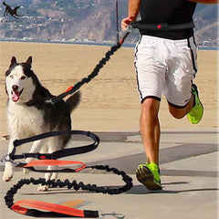 Dog Leash Running Elasticity  Pet Products - Mrdogcollar