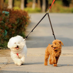 WALK 2 Two DOGS Leash - Mrdogcollar