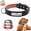 Image of Leather Dog Collar Durable Padded Personalized Pet ID - Mrdogcollar