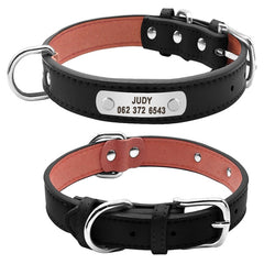 Leather Dog Collar Durable Padded Personalized Pet ID