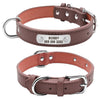 Image of Leather Dog Collar Durable Padded Personalized Pet ID - Mrdogcollar