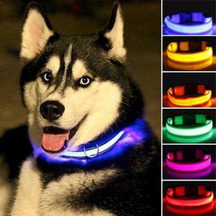 Nylon LED Pet dog Collar,Night Safety Flashing Glow In The Dark Dog Leash - Mrdogcollar