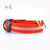 Image of Nylon LED Pet dog Collar,Night Safety Flashing Glow In The Dark Dog Leash - Mrdogcollar