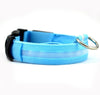 Image of Nylon LED Pet dog Collar,Night Safety Flashing Glow In The Dark Dog Leash - Mrdogcollar