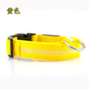 Image of Nylon LED Pet dog Collar,Night Safety Flashing Glow In The Dark Dog Leash - Mrdogcollar