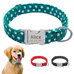 Personazlied Dog Collar - Mrdogcollar