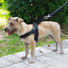 Image of Adjustable and Reflective Dog Harness - Mrdogcollar