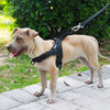 Image of Adjustable and Reflective Dog Harness - Mrdogcollar