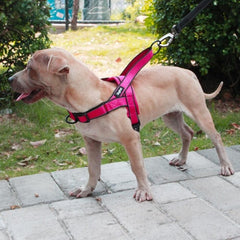 Adjustable and Reflective Dog Harness