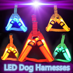 Pet Safety LED Harness for Dogs - Mrdogcollar