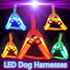 Image of Pet Safety LED Harness for Dogs - Mrdogcollar