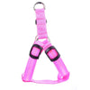 Image of Pet Safety LED Harness for Dogs - Mrdogcollar