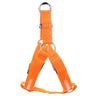 Image of Pet Safety LED Harness for Dogs - Mrdogcollar