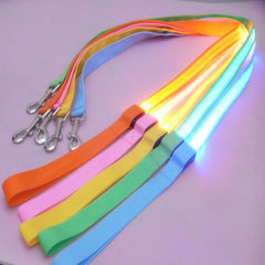 Nylon LED Light Up Dog Leash Night Safety - Mrdogcollar