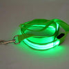 Image of Nylon LED Light Up Dog Leash Night Safety - Mrdogcollar