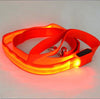 Image of Nylon LED Light Up Dog Leash Night Safety - Mrdogcollar