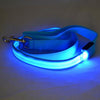 Image of Nylon LED Light Up Dog Leash Night Safety - Mrdogcollar