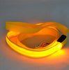 Image of Nylon LED Light Up Dog Leash Night Safety - Mrdogcollar