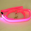 Image of Nylon LED Light Up Dog Leash Night Safety - Mrdogcollar