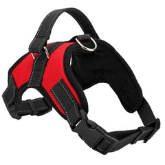 Pet Walking Hand Strap Dog