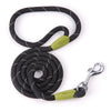 Image of Dog Leash Reflective Dog Leash - Mrdogcollar