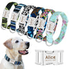 Image of Dog Collar Personalized - Mrdogcollar