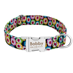 Dog Collar Personalized