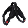 Image of Dog Harness Reflective Collar Vest Harnesses - Mrdogcollar