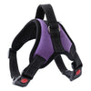 Image of Dog Harness Reflective Collar Vest Harnesses - Mrdogcollar