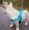 Image of Adjustable and Reflective Dog Harness - Mrdogcollar